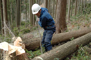 循環型社会の実現とCO2削減に貢献する