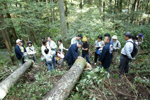 全国一斉「森林見学・体験ツアー」